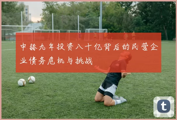 中赫九年投资八十亿背后的民营企业债务危机与挑战