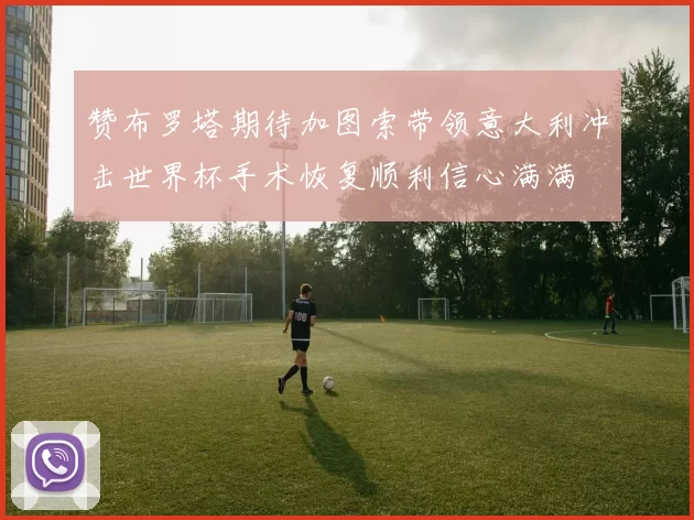 赞布罗塔期待加图索带领意大利冲击世界杯手术恢复顺利信心满满