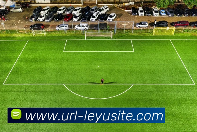 多媒体互动体验