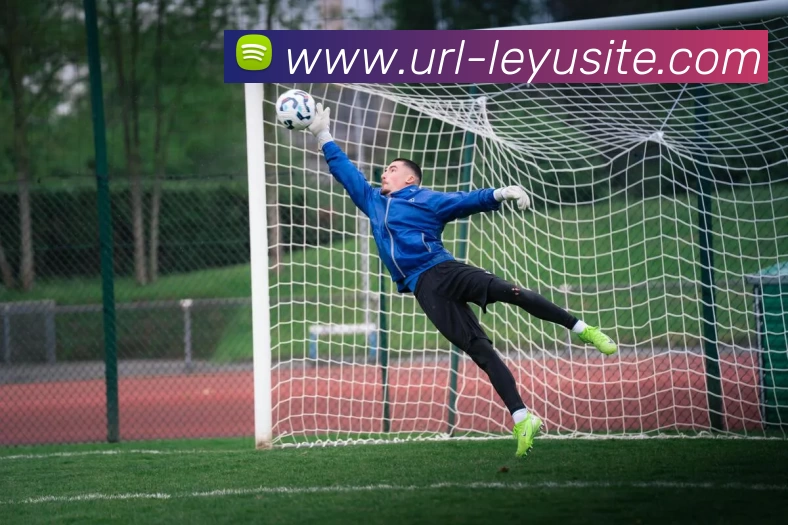 乐鱼体育APP 高清赛事图